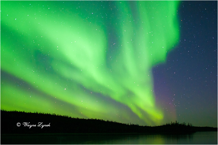 Aurora Borealis 131 by Dr. Wayne Lynch &copy;